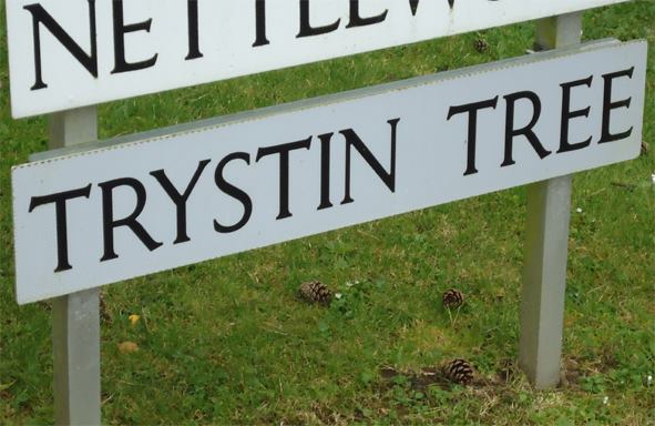 The Trystin Tree, Portlethen